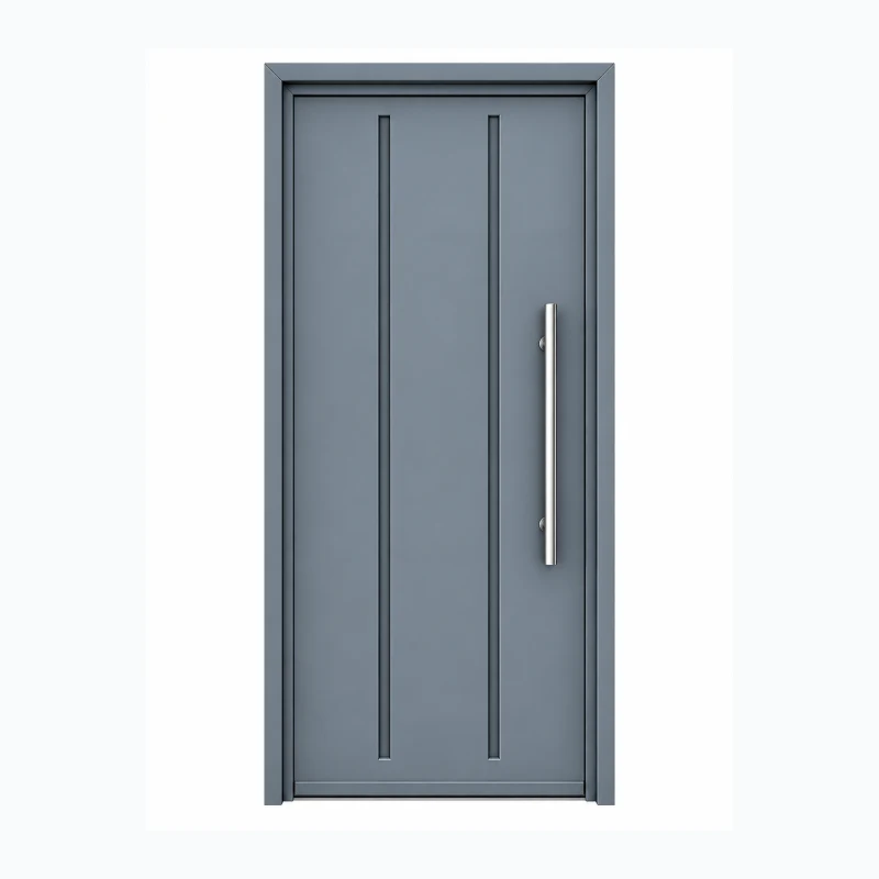 Porte métallique moderne