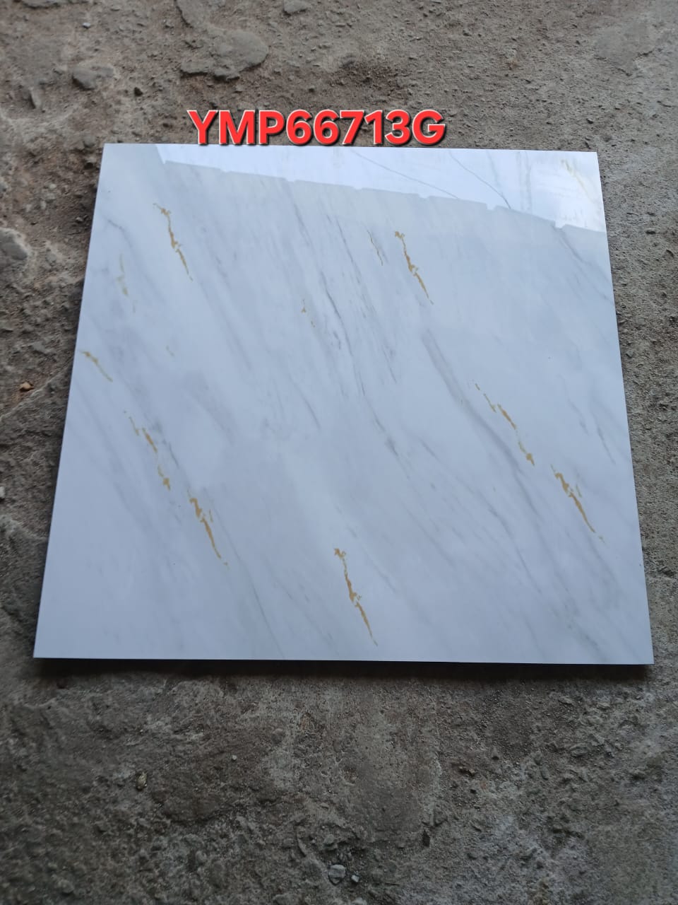 Carrelage YMP66713G